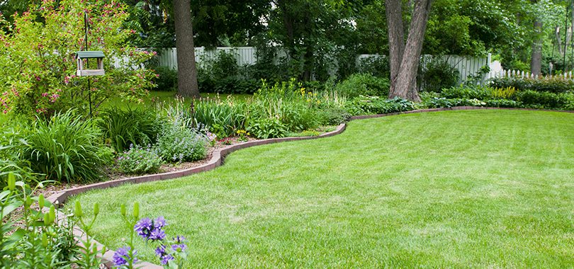 Consejos para cuidar tu jardín